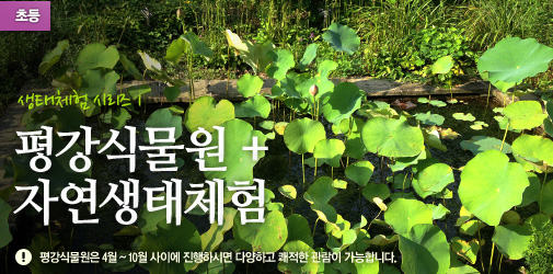 생태체험 시리즈1 / 평강식물원 + 자연생태체험